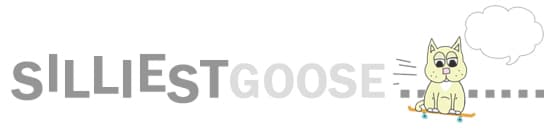 The original Silliest Goose header: the cat on a skateboard